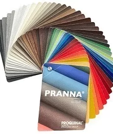 Pranna
